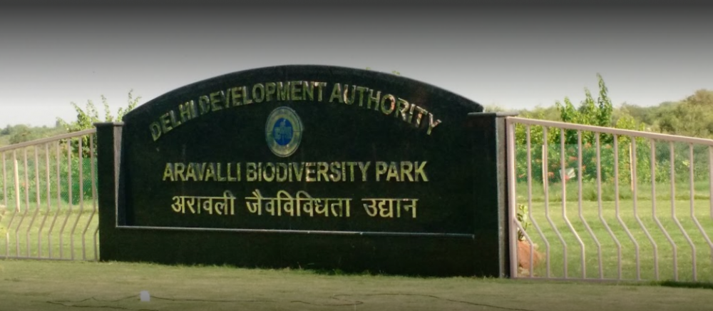 Arawali Biodiversity Park
